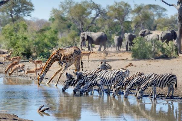 https://babaholidays.unicorntechnology.co/wp-content/uploads/2024/11/Kruger-National-Park.jpg