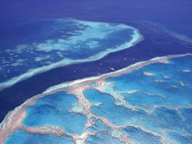 https://babaholidays.unicorntechnology.co/wp-content/uploads/2024/12/Great-Barrier-Reef-640x480.webp