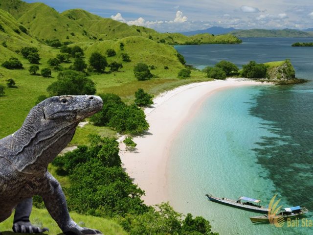 https://babaholidays.unicorntechnology.co/wp-content/uploads/2024/12/Komodo-640x480.jpg