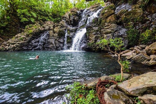 https://babaholidays.unicorntechnology.co/wp-content/uploads/2024/12/Taveuni-1.jpg