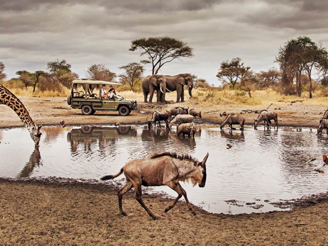 https://babaholidays.unicorntechnology.co/wp-content/uploads/2024/12/serengeti-640x480.jpg